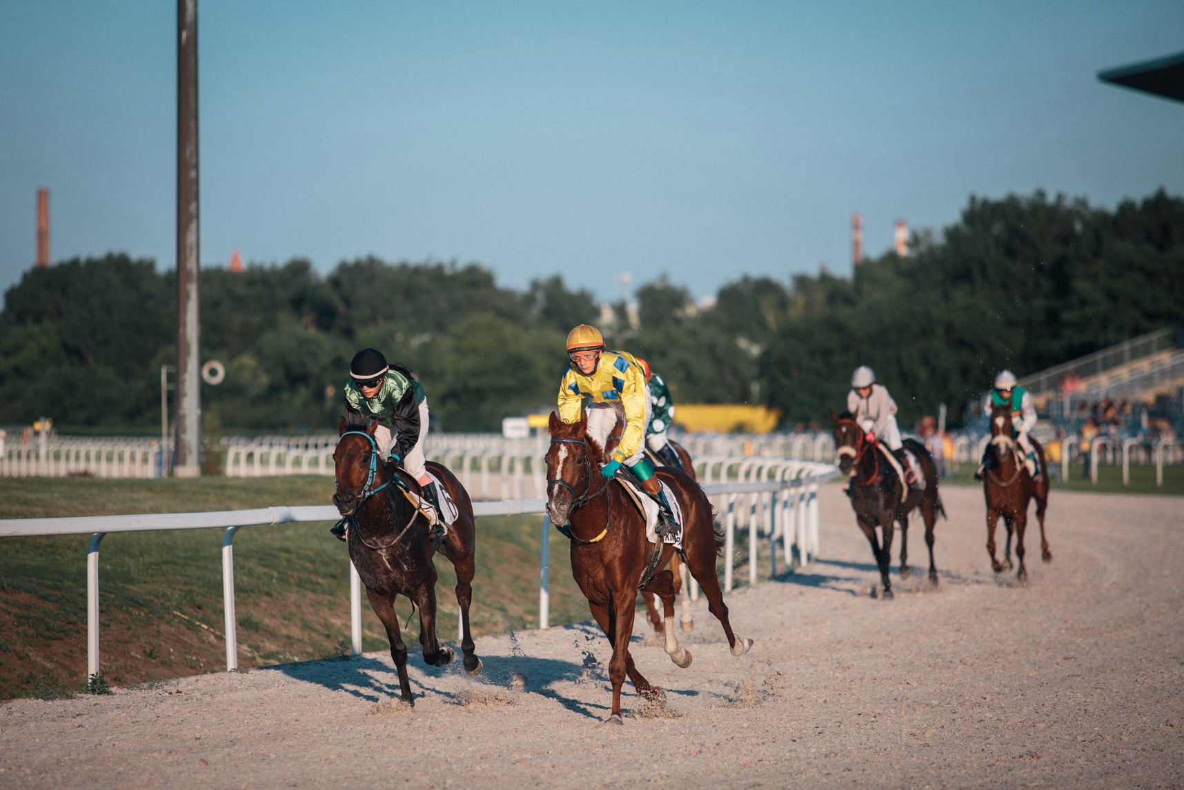 Brian Kavanagh Steps Down as Horse Racing Ireland CEO