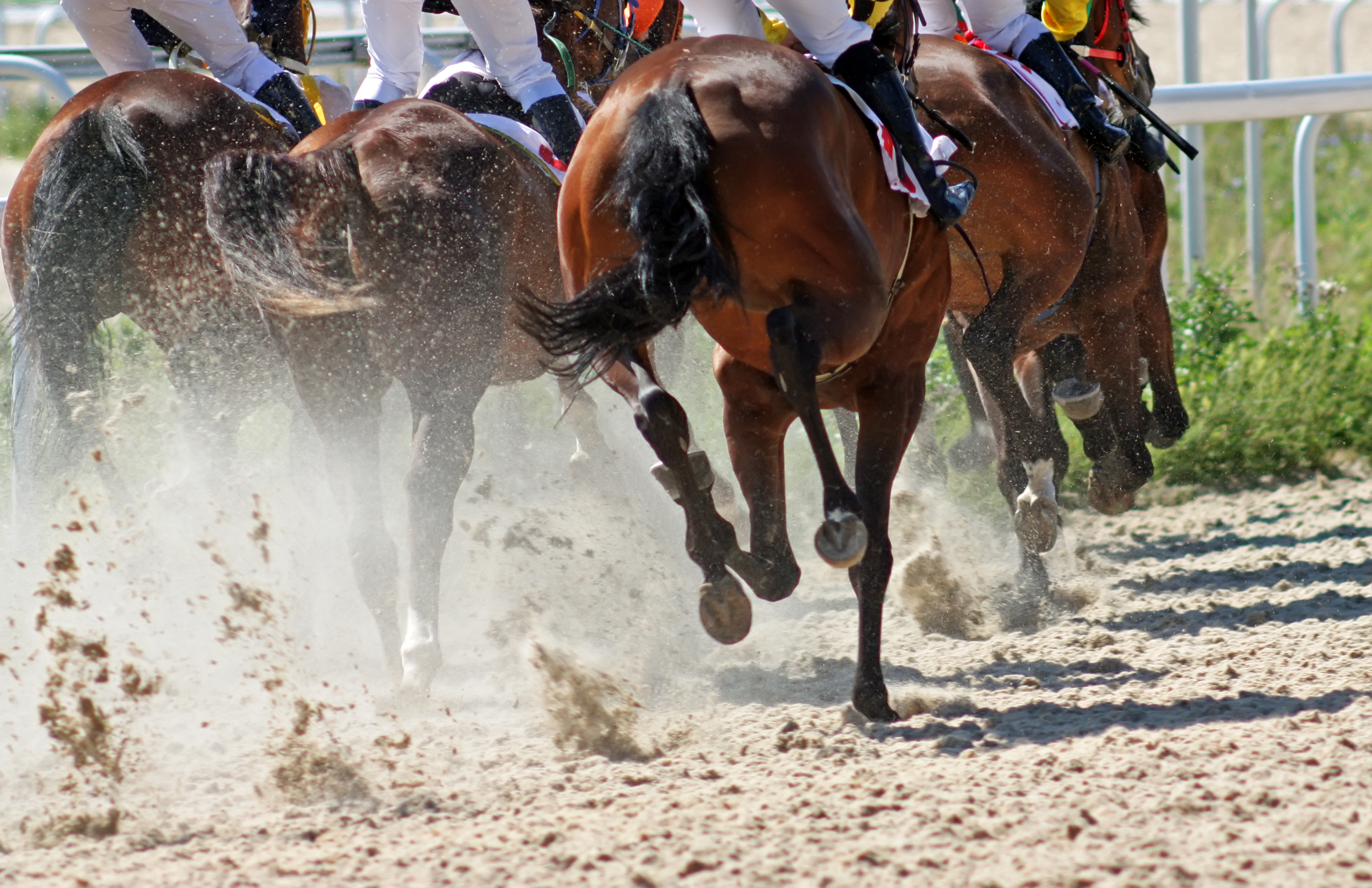 BetMGM Partner with NYRA Bets