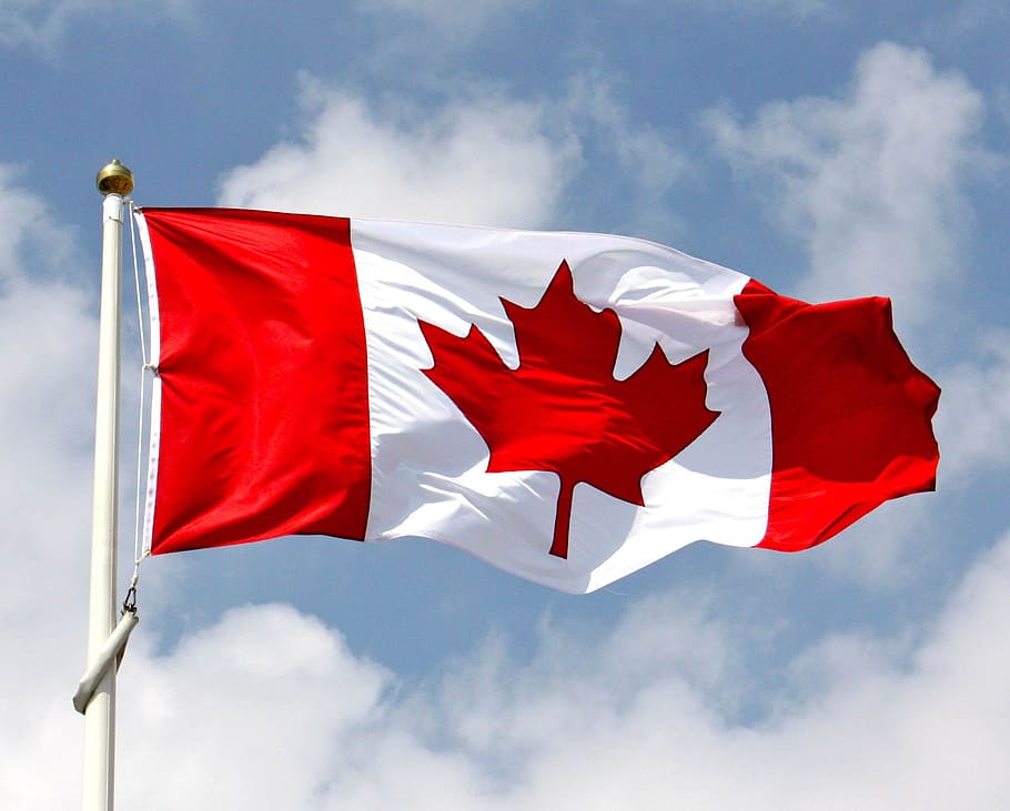 Seven Star Digital Launch BestOnlineCasinos.ca