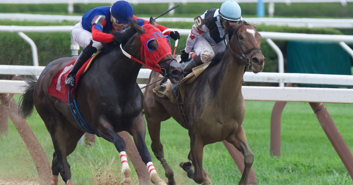 'Racing Post' App Launched by Spotlight Sports Group
