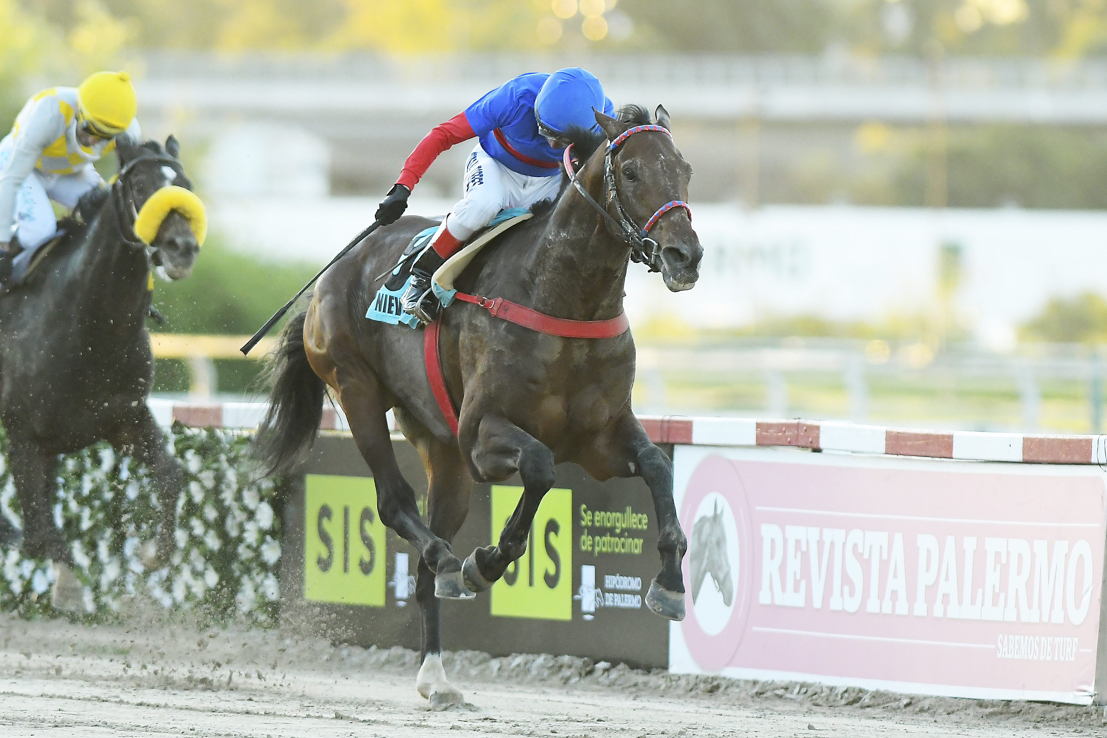IS to Sponsor Historic Argentine Derby at Hipódromo Argentino de Palermo