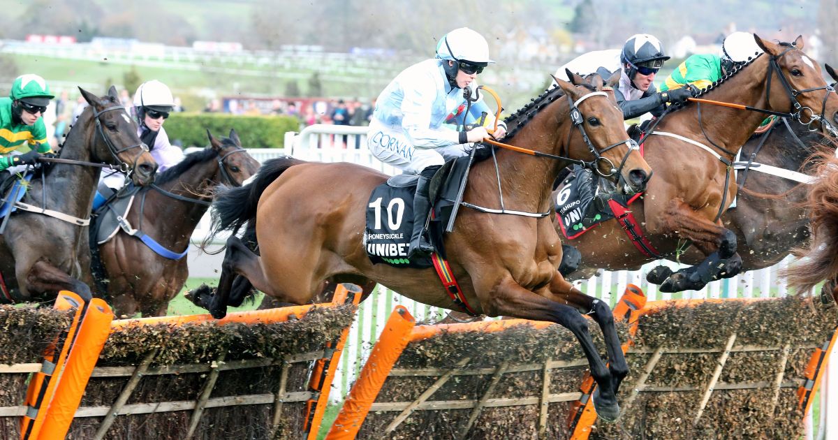 280 Million Euros Were Bet On Cheltenham By Paddy Power Owner Flutter