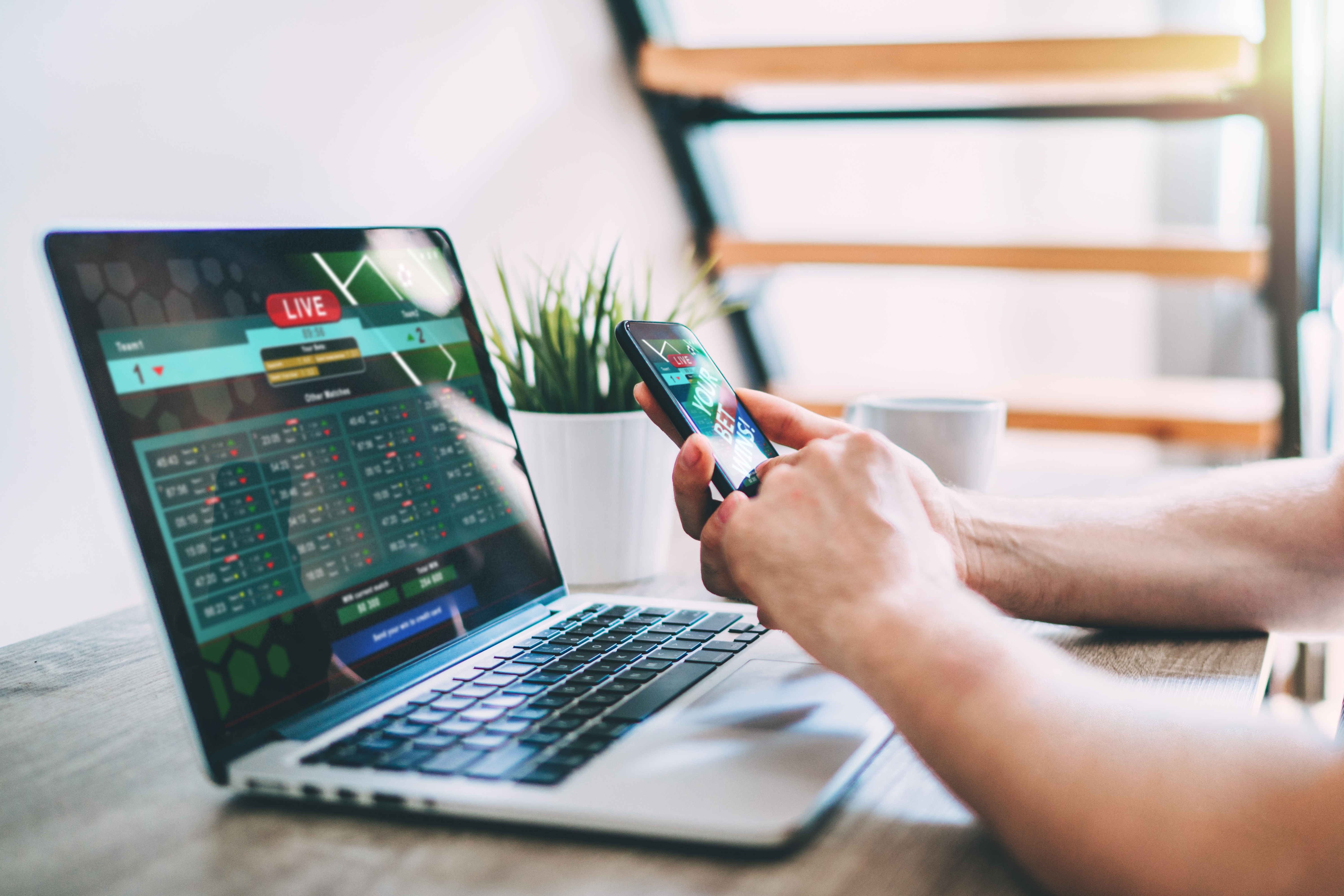 12BET Chooses Betradar As New Sportsbook Supplier