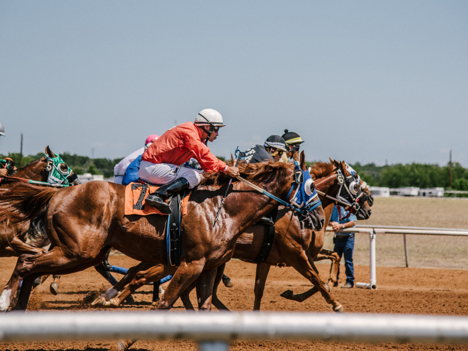 Understanding the Basics of Horse Racing Betting