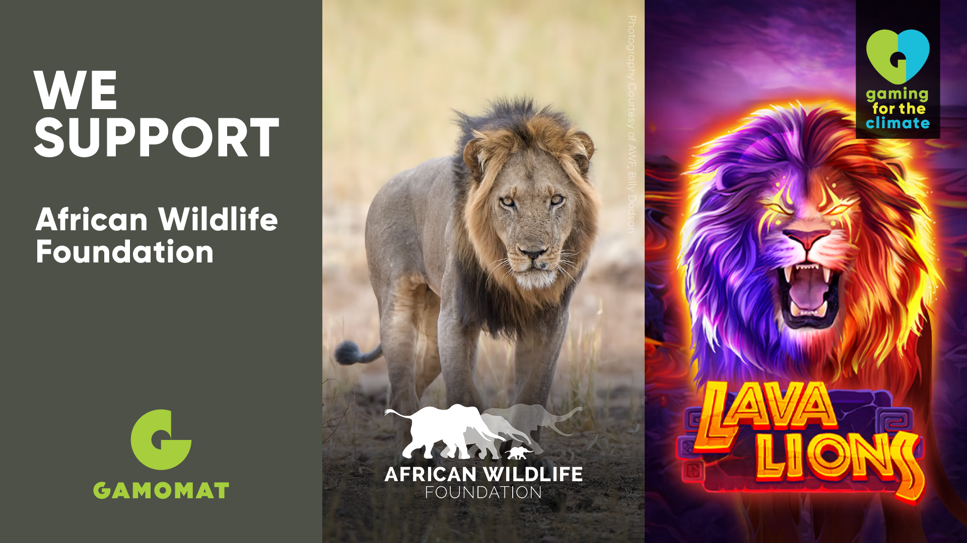 GAMOMAT Expands Gaming for the Climate initiative with Lava Lions