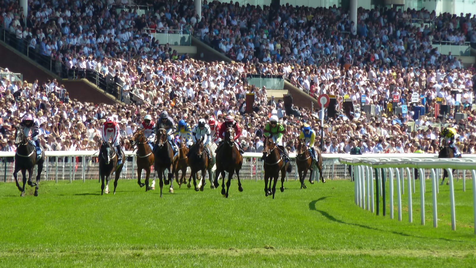BetMakers Technology Group Expands Partnership with SIS for Racing Data