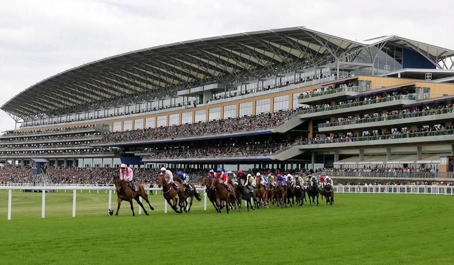 CopyBet Enters Horseracing Sponsorship with Ascot Racecourse Partnership