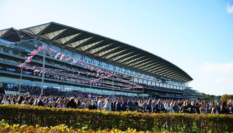 British Champions Day Part of New Record Turnover