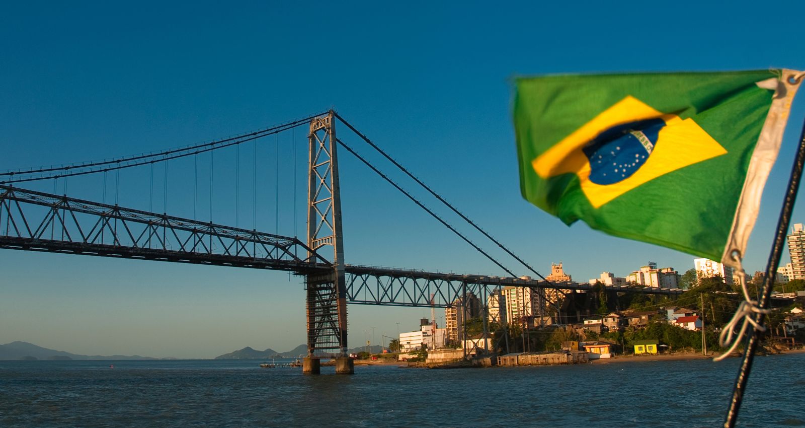 Fazi Secures Operating Licence in Brazil