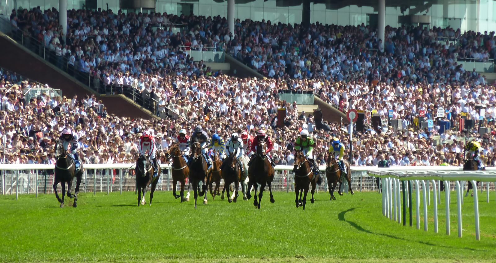 Finland to Introduce Horseracing to Competitive Market in 2026 as Part of Gambling Reforms