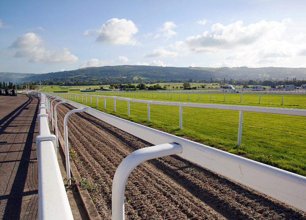 BHA Reinforces Safety and Welfare in Response to Cheltenham Incidents