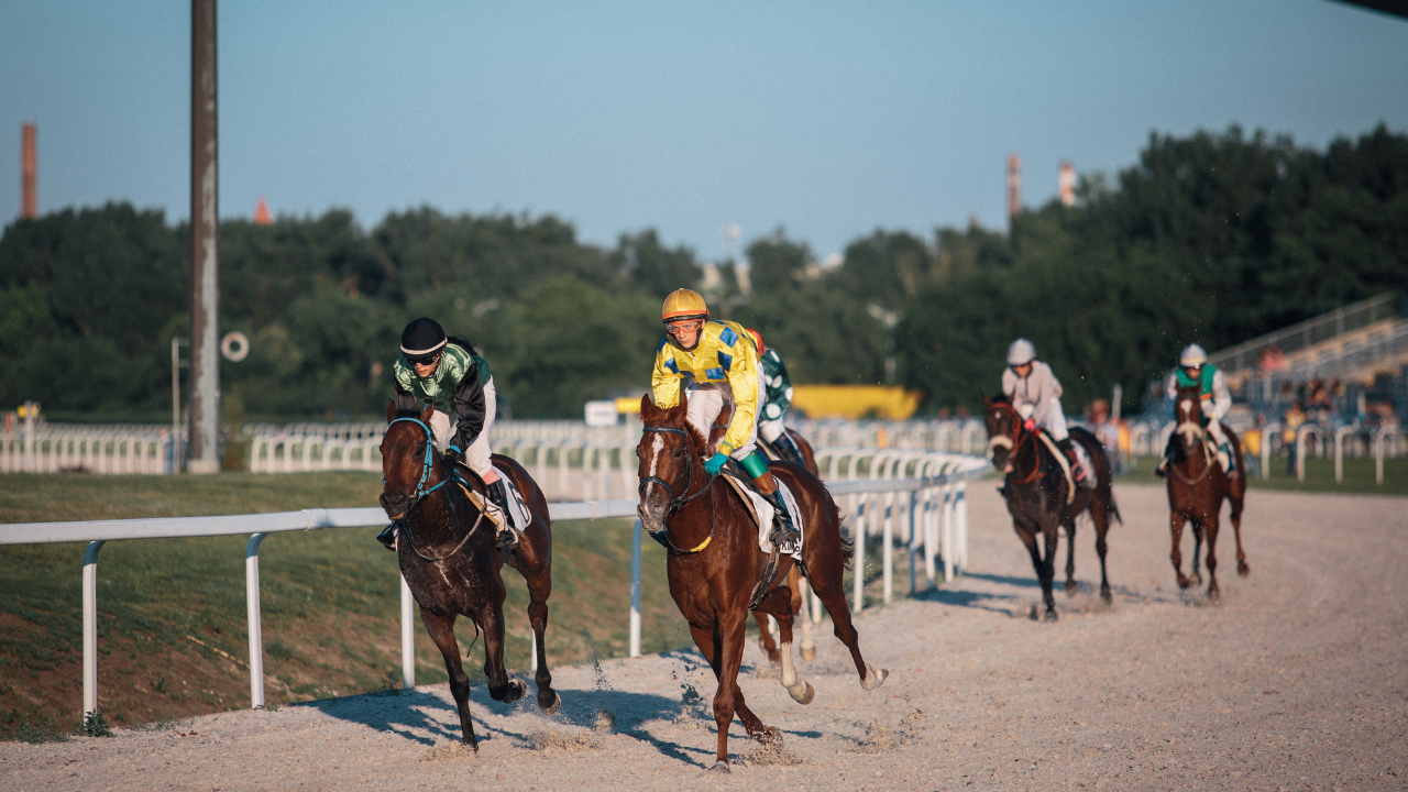 TPD and SIS Partner to Deliver In-Running Odds for Boylesports, BetVictor, Entain, Sky Bet, and William Hill