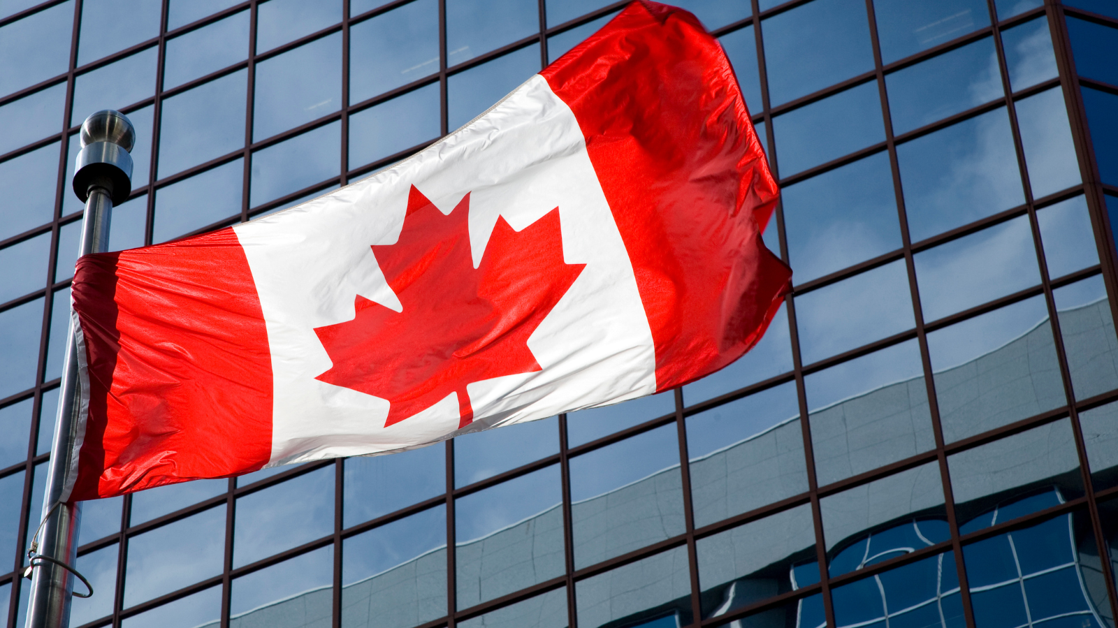 Mixi’s Takeover of PointsBet Clears Canadian Regulatory Hurdles