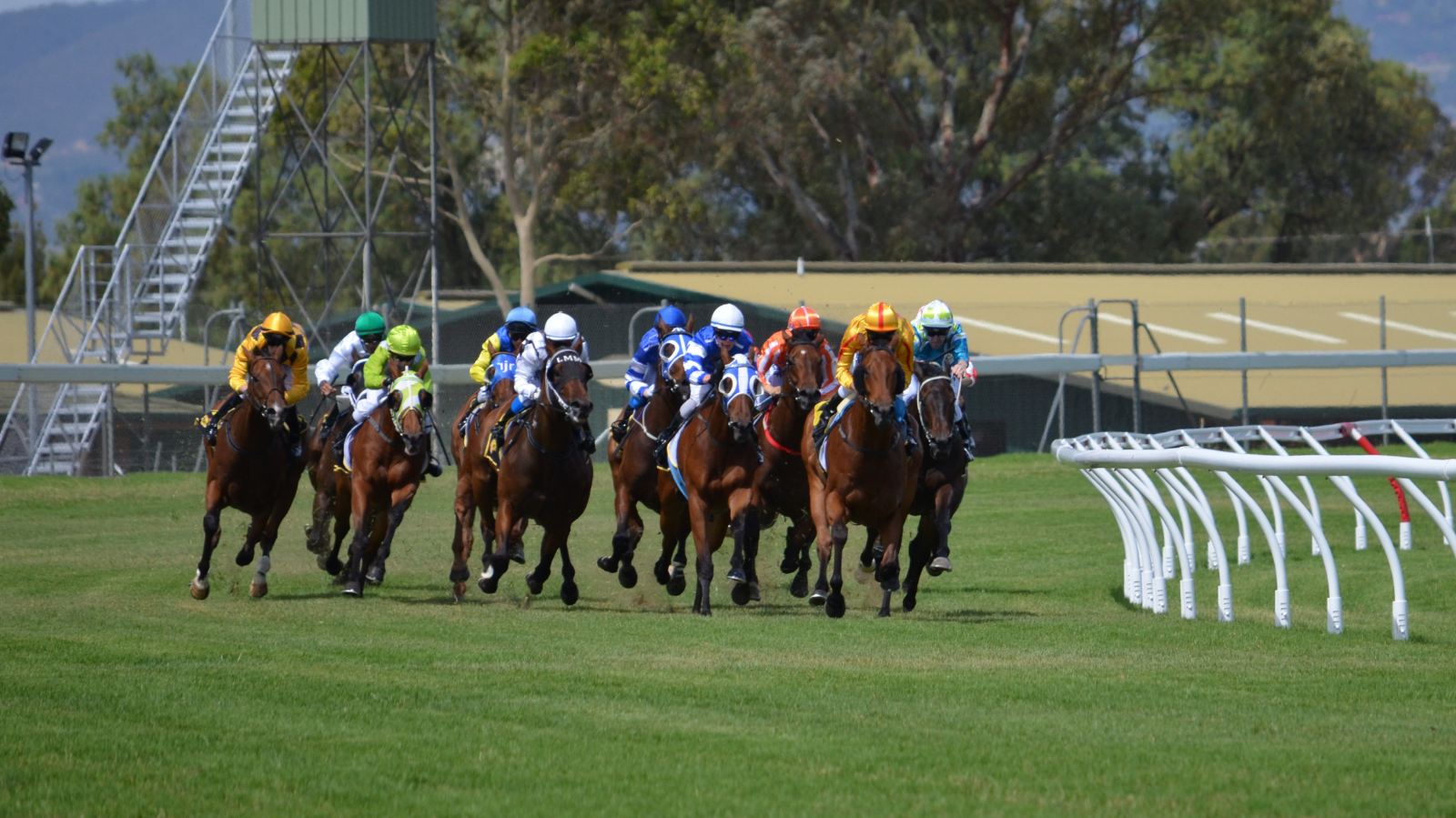 Ladbrokes and Coral Launch In-Running Odds for Racing Victoria Tracks in Partnership with TPD