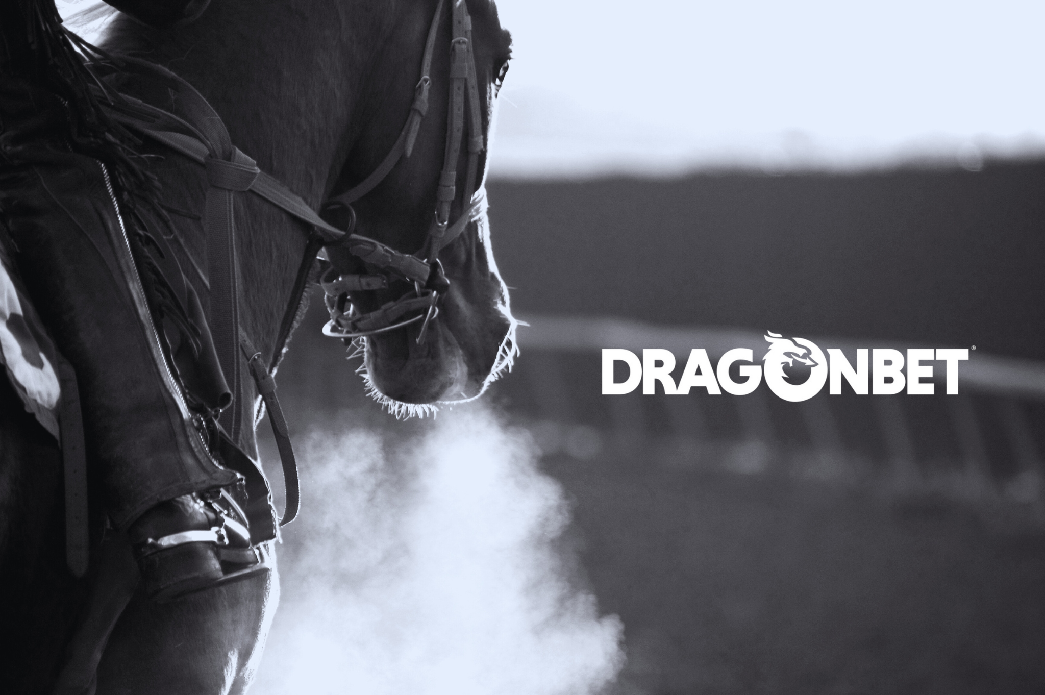 Racing’s Digital Shift: How Bettors Are Changing Their Habits