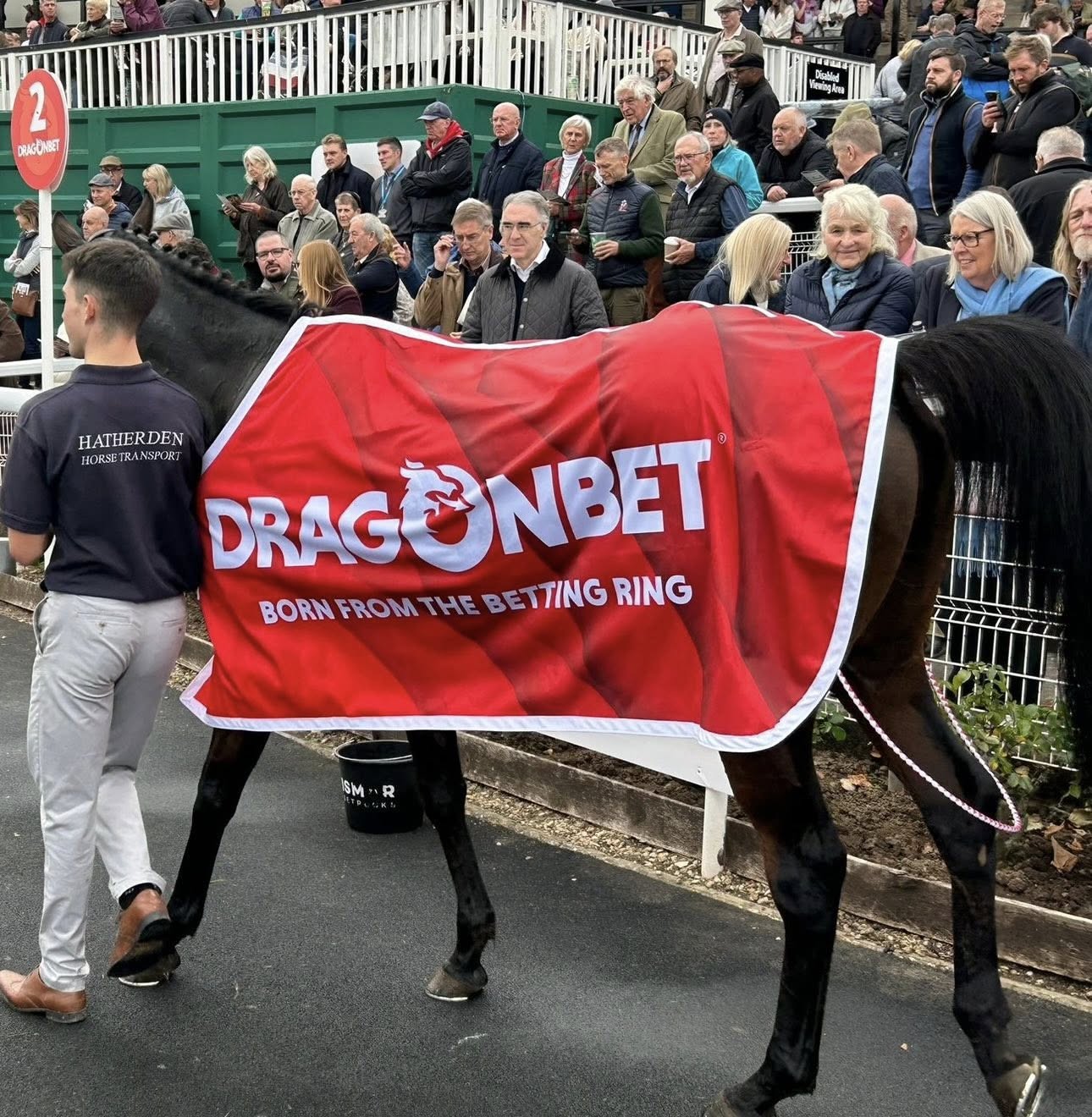David Lovell: DragonBet Welsh Racing Festival Showcases the Strength of Welsh Racing and Betting Culture