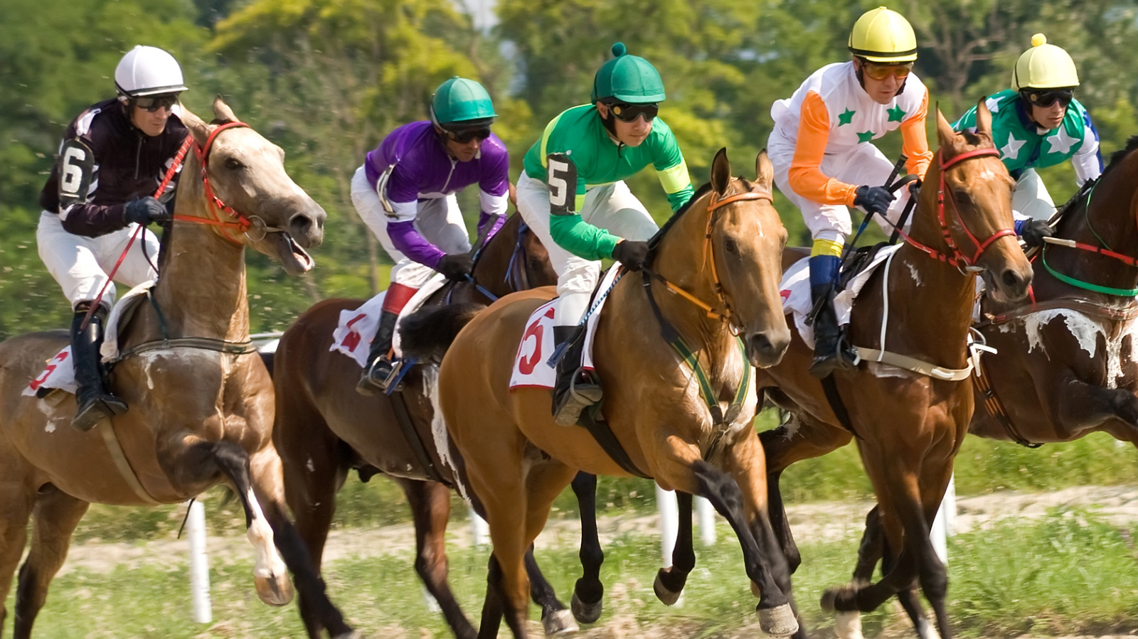 Racing and Sports Adds Fairplay Exchange as Second UK Client