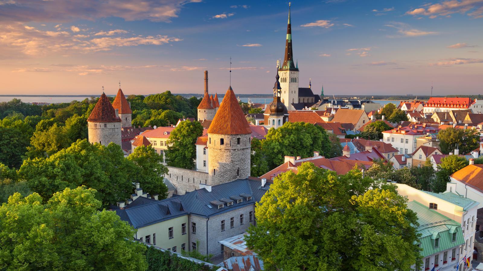Drafting Error Wipes Out Estonia’s Online Casino Tax for 2026