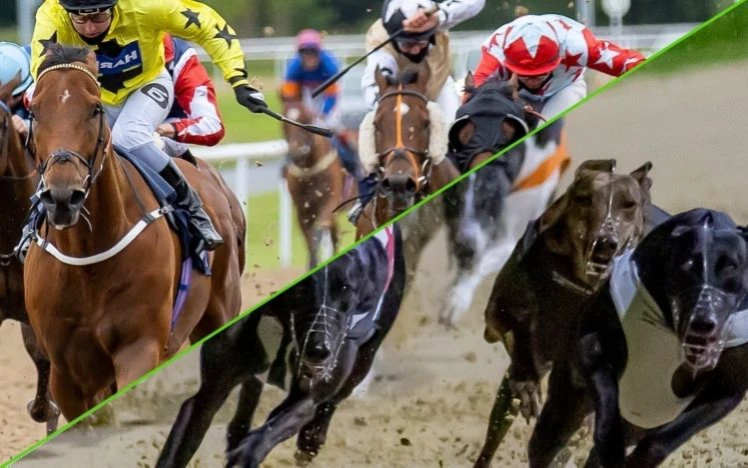 Britain’s First Horse and Greyhound Racing Dual Fixture Set for Wolverhampton