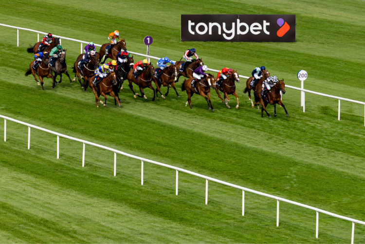 Tonybet Secure Irish Champions Festival Sponsorship for Third Consecutive Year