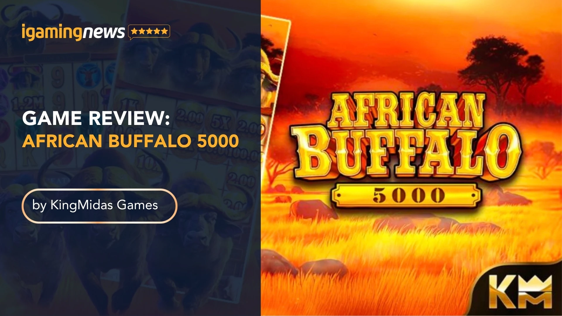 African Buffalo 5000 Review: A Familiar Theme With Solid Slot Fundamentals