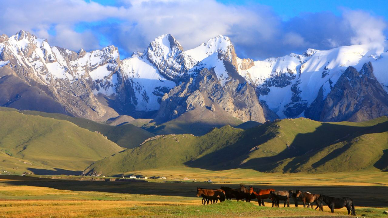 Kyrgyzstan Reports 24 Licensed Online Casino Operators As Market Expands