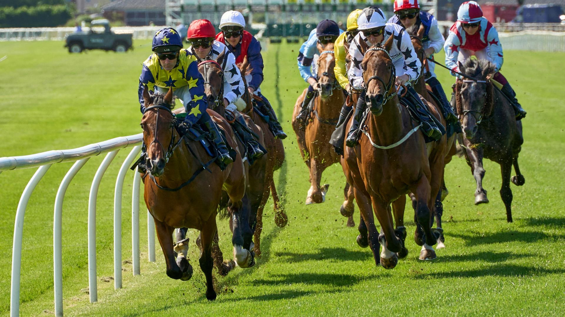 Lucky Tiger Selects Podium To Power New Horse Racing Betting Offering