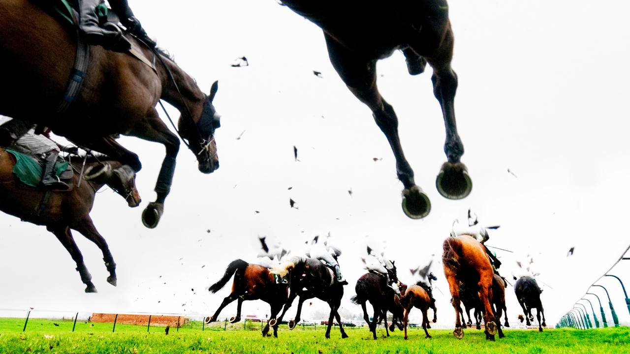 Football Closes the Gap on Racing as OLBG Community Posts 2.5 Million Tips in a Year