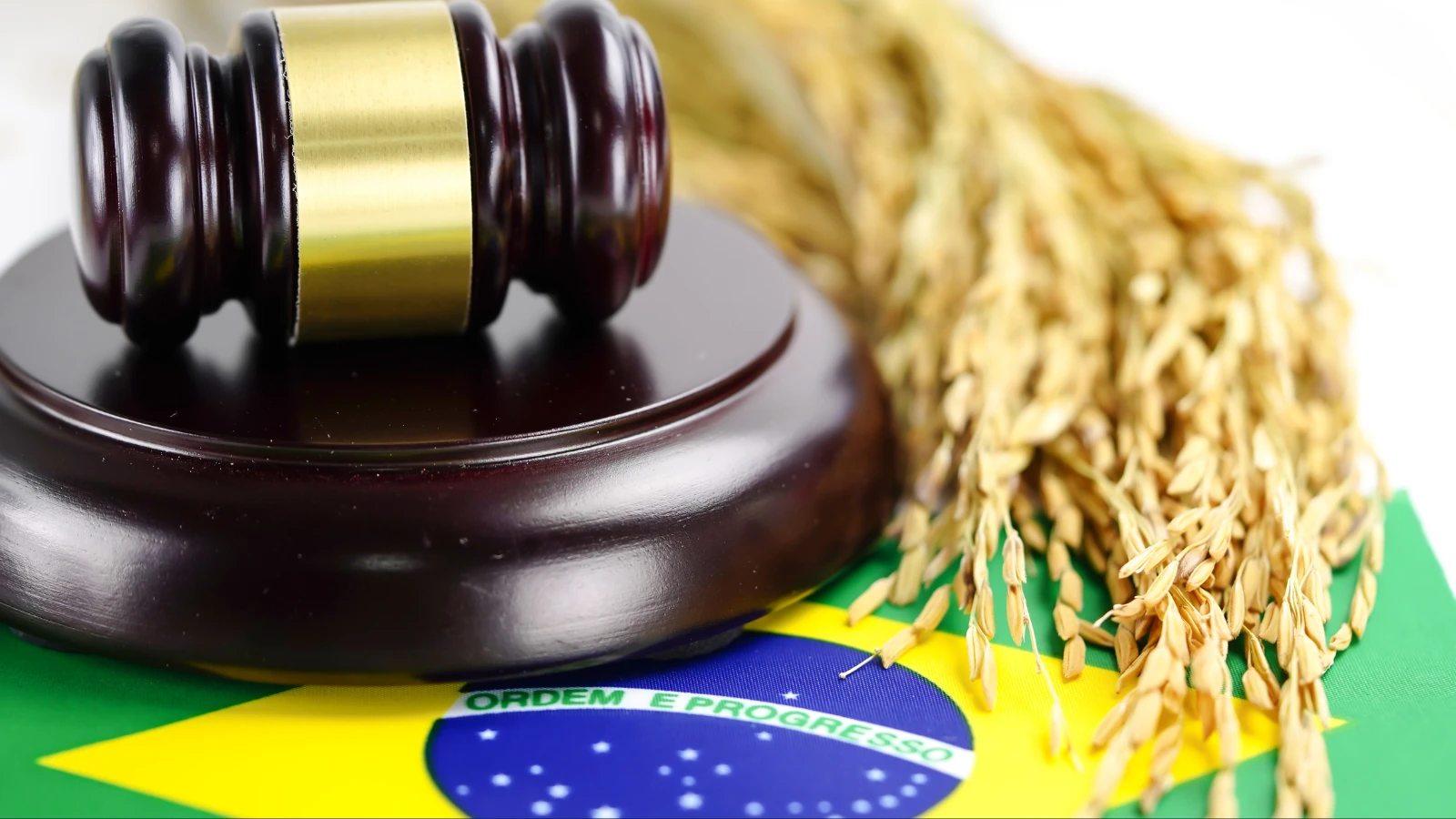 Brazilian Trade Groups Ask Supreme Court To Suspend Online Betting Ban