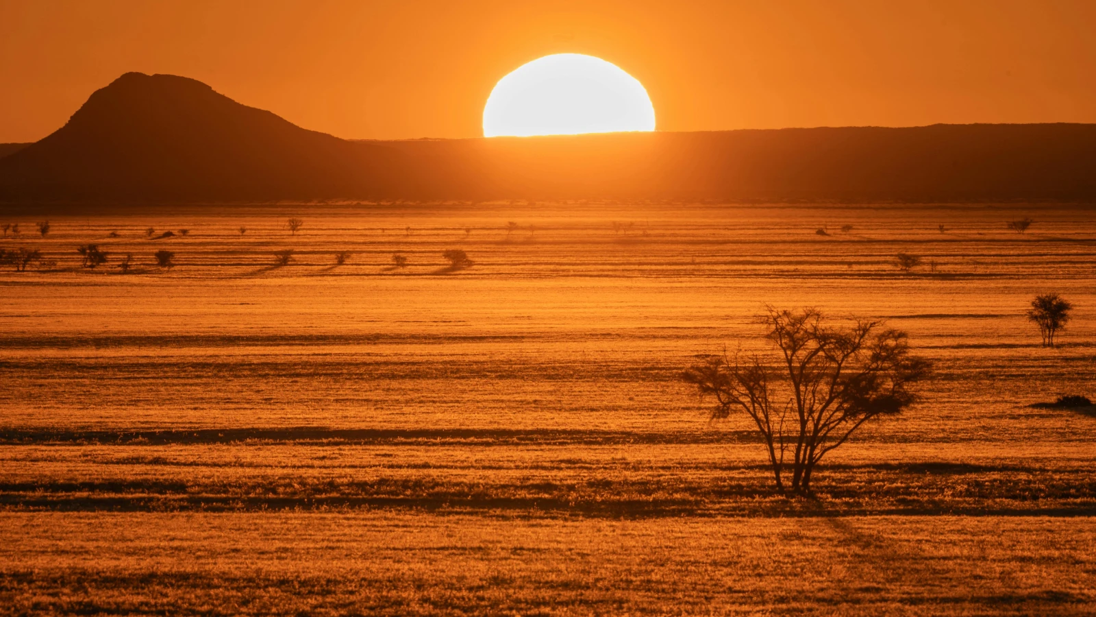 Namibia Advances Gambling Reform Proposals Amid Regulator Staffing Concerns